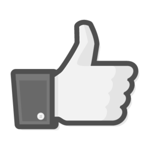 brandolini-pietro-vini-facebook