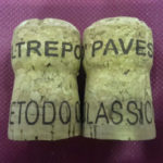 img-fivi-2016-piacenza-brandolini-pietro-2