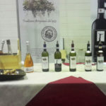 img-fivi-2016-piacenza-brandolini-pietro-3