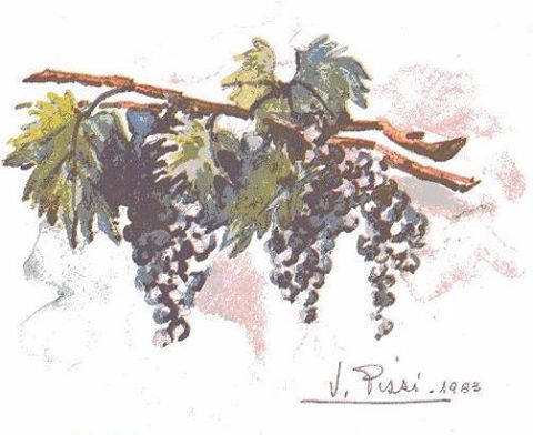 Pizzi-grappolo-arte-brandolini-pietro-oltrepò-pavese-san-damiano-al-colle